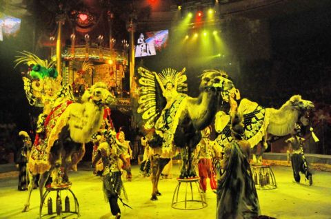Карнавальное шествие циркачей перенесли