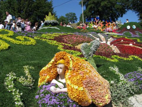 Фестиваль цветов в Сочи